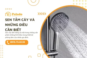 1Sen tắm cây Và những điều cần biết